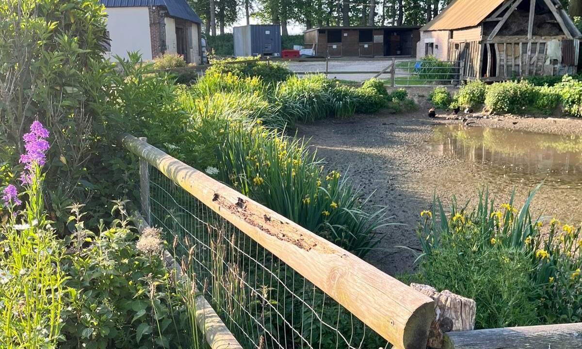 Photo of Outdoor in Annouville-Vilmesnil