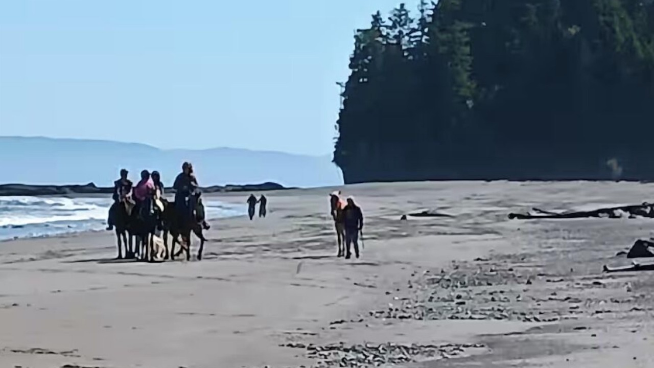 Photo of Others in Sekiu