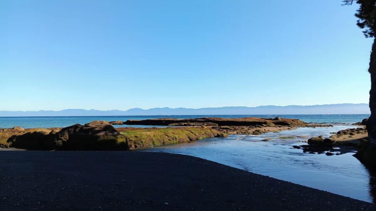 Photo of Others in Sekiu