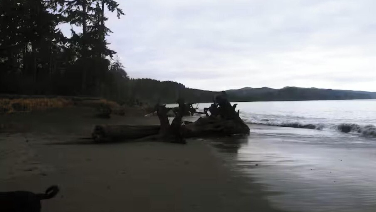 Photo of Others in Sekiu