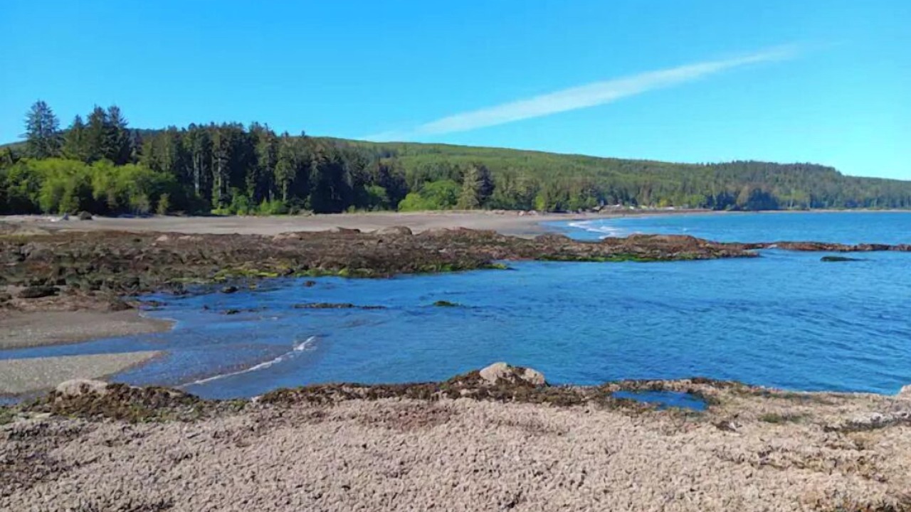 Photo of Others in Sekiu