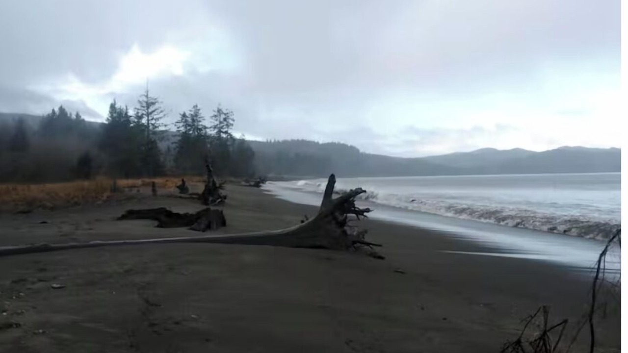 Photo of Others in Sekiu