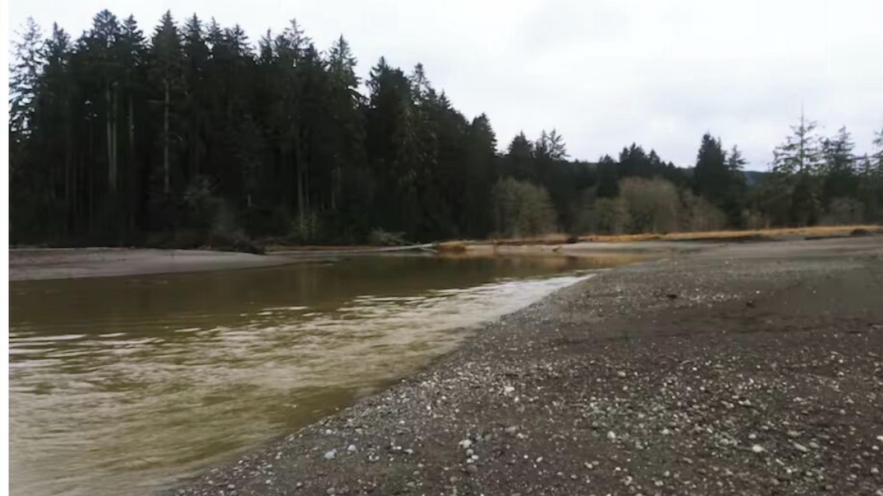 Photo of Others in Sekiu