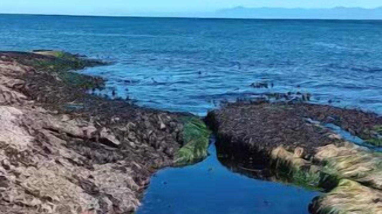 Photo of Others in Sekiu