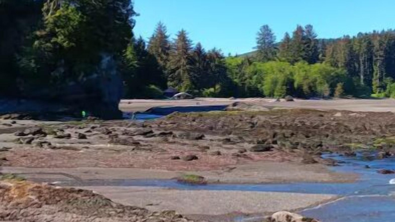 Photo of Others in Sekiu