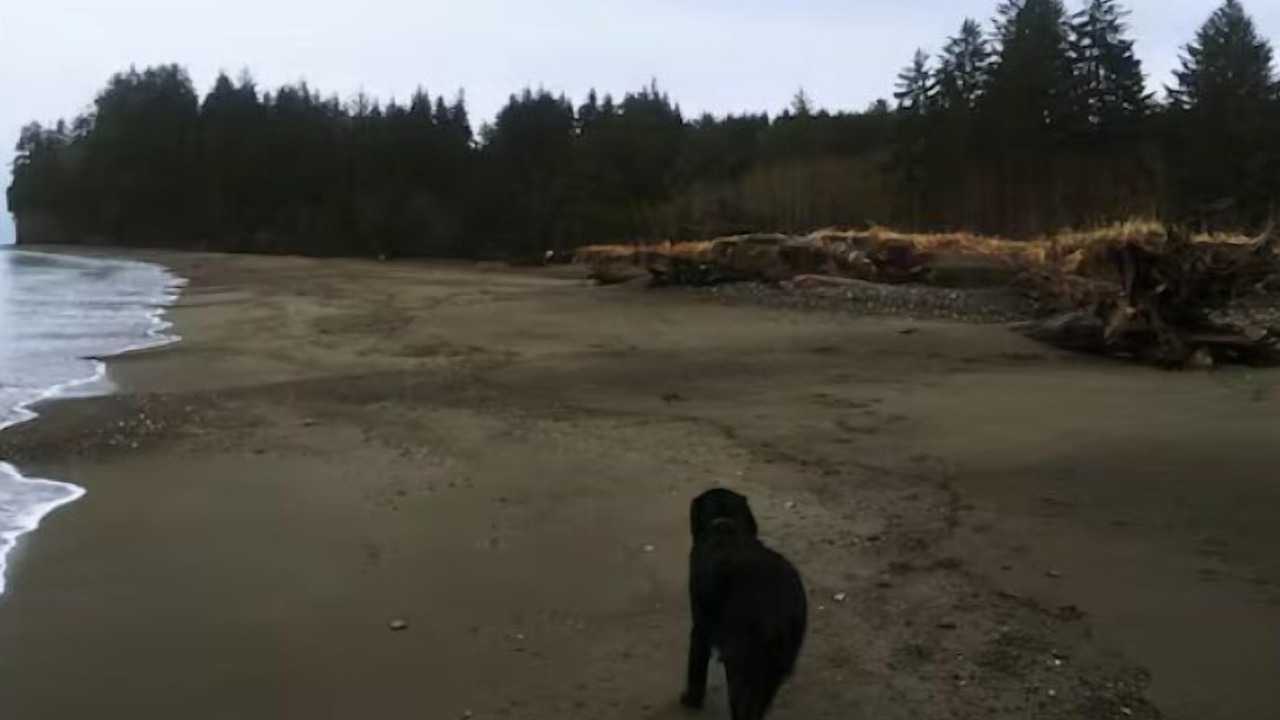 Photo of Others in Sekiu