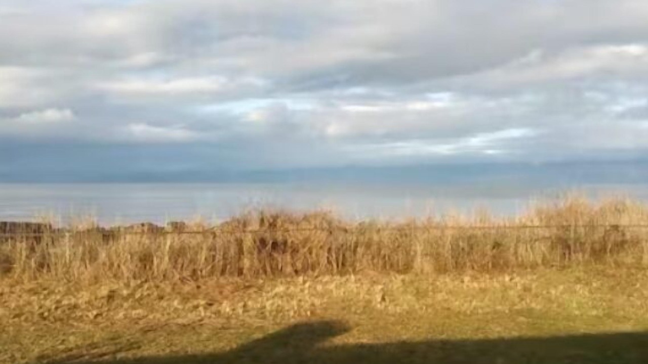 Photo of Others in Sekiu