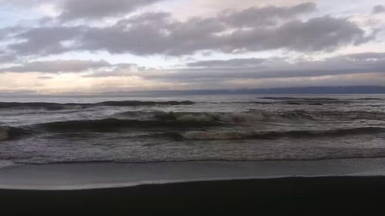 Photo of Others in Sekiu