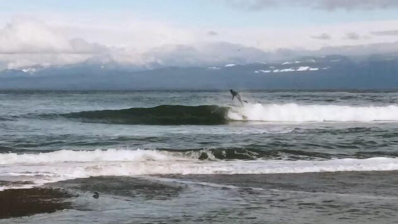 Photo of Others in Sekiu