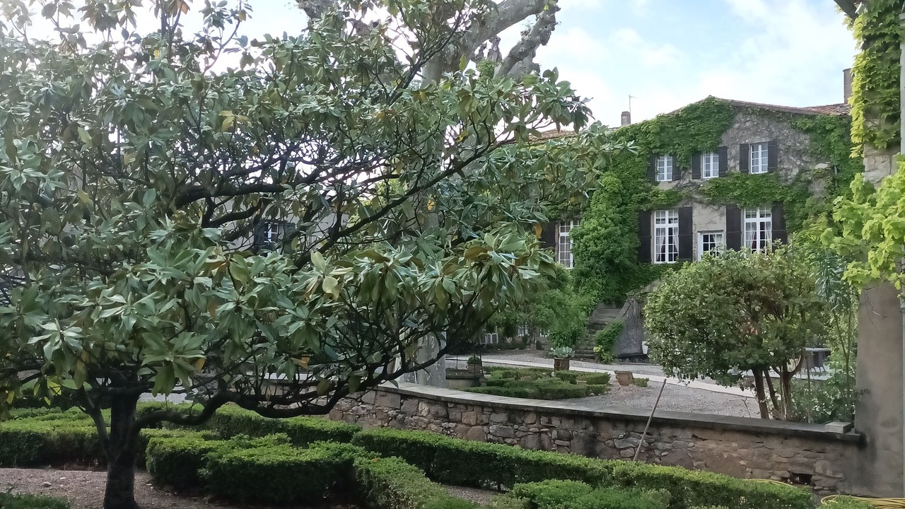 Photo of Outdoor in Floure