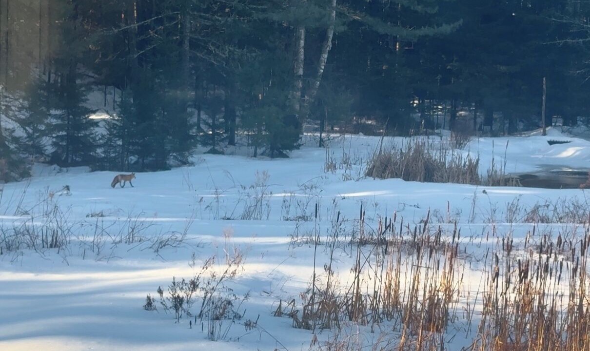 Photo of Others in Mid-Coast and Islands