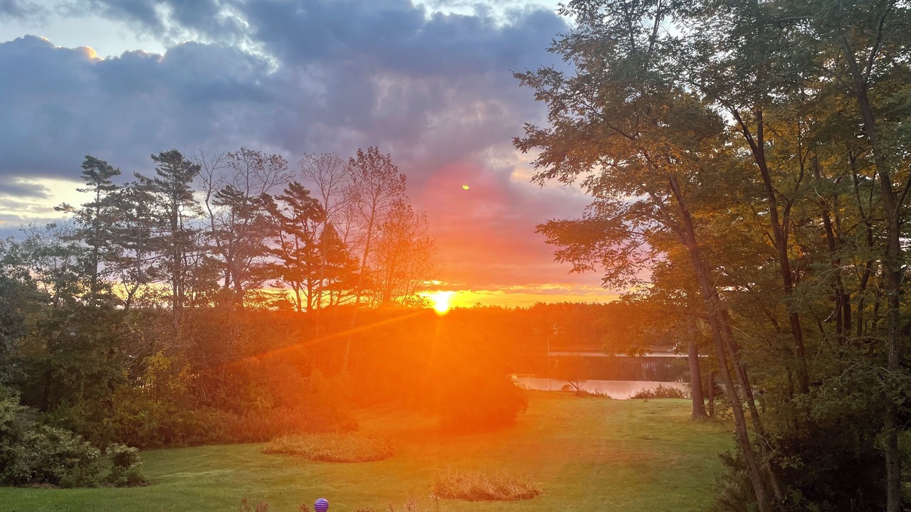 Photo of Others in Mid-Coast and Islands