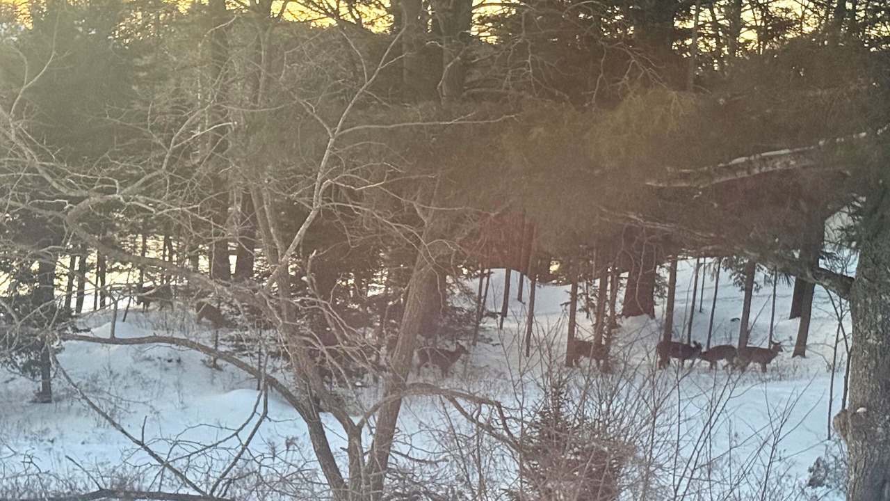 Photo of Others in Mid-Coast and Islands