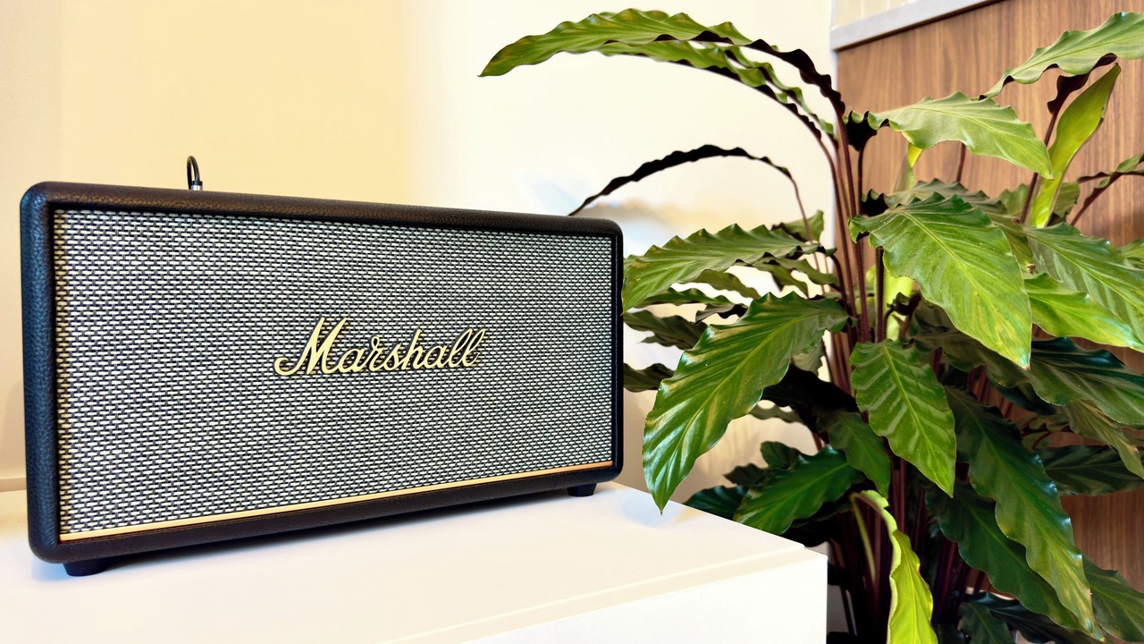 Photo of Others in Lemasson