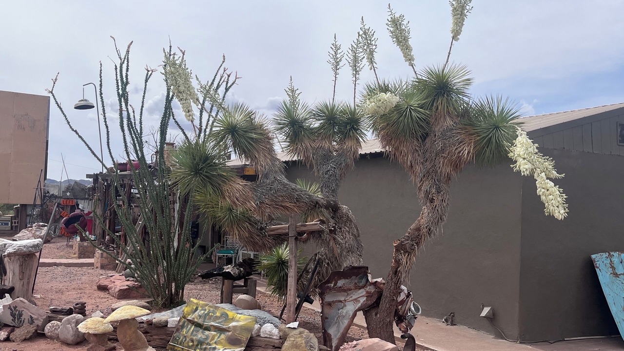 Photo of Others in Van Horn