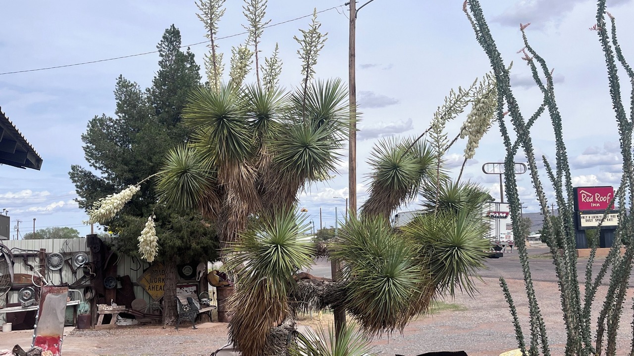 Photo of Outdoor in Van Horn