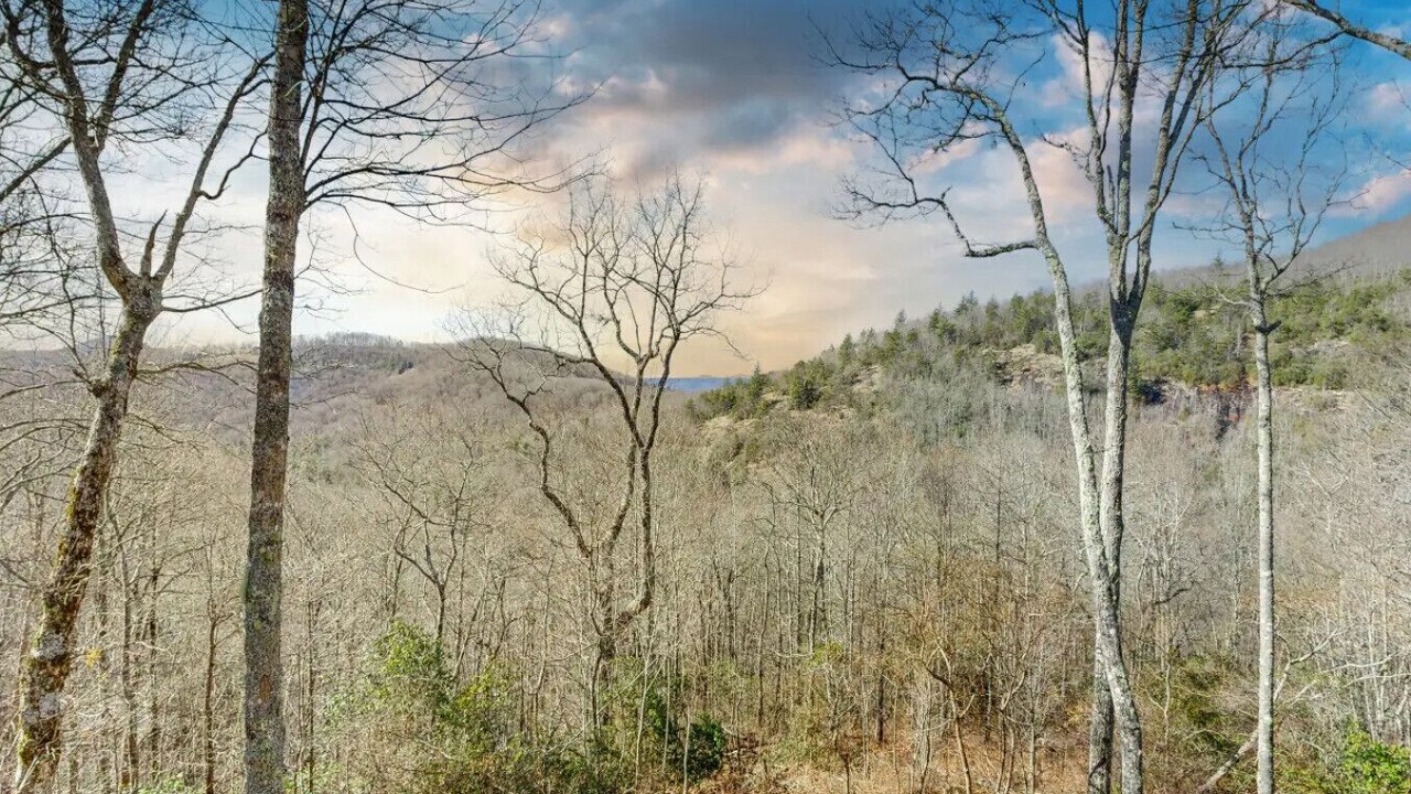 Photo of Others in Tuckasegee