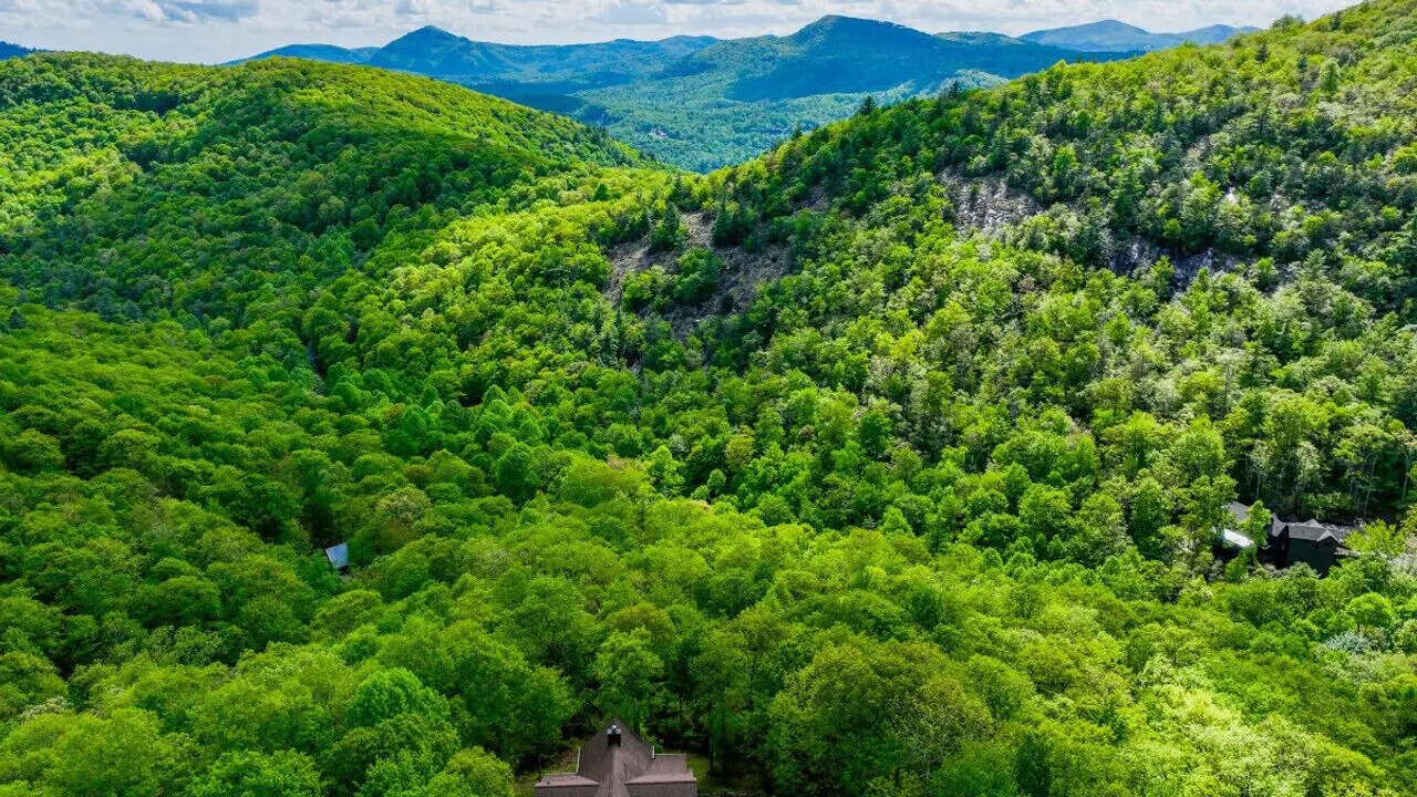 Photo of Others in Tuckasegee
