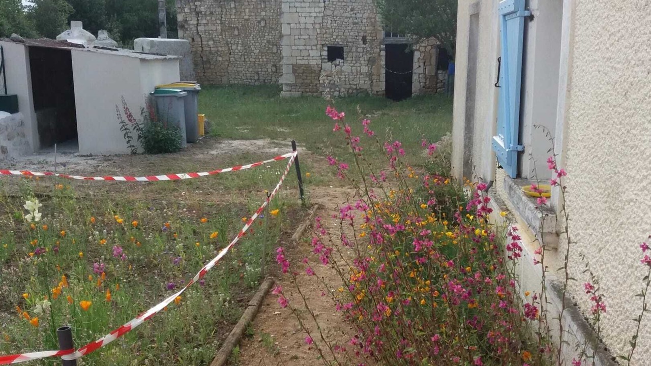 Photo of Outdoor in Raslay