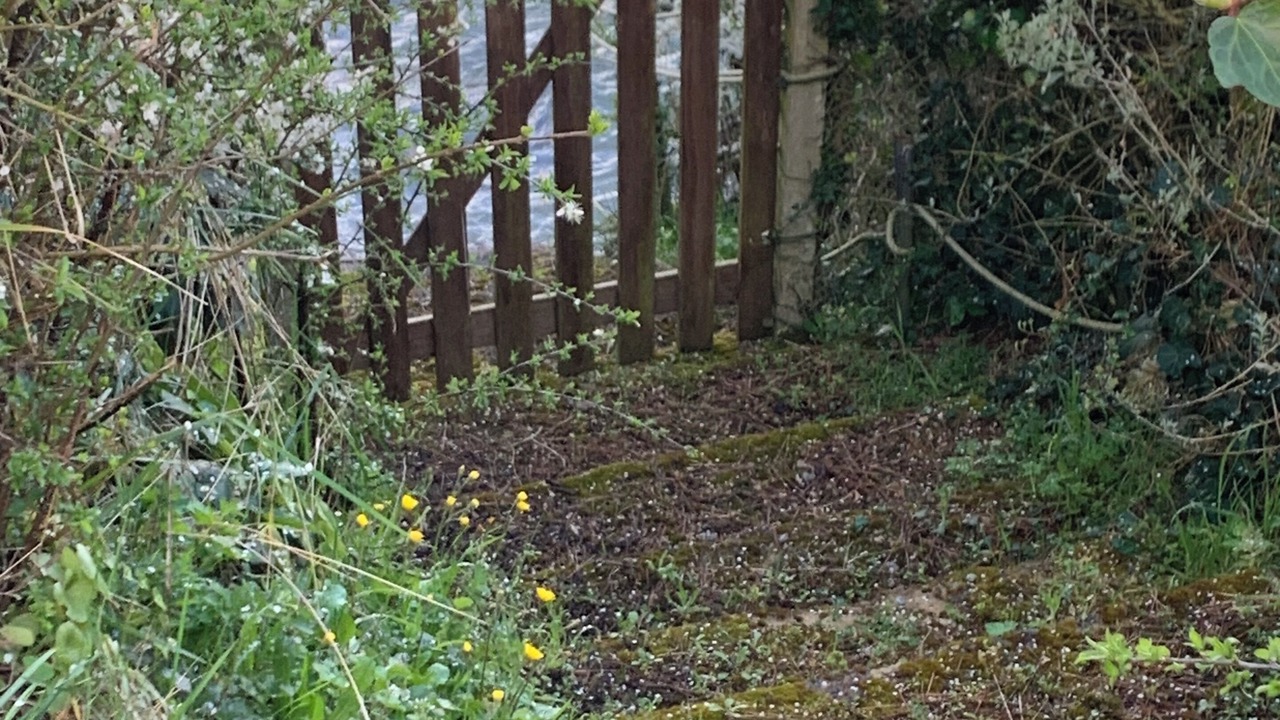 Photo of Outdoor in Penestin