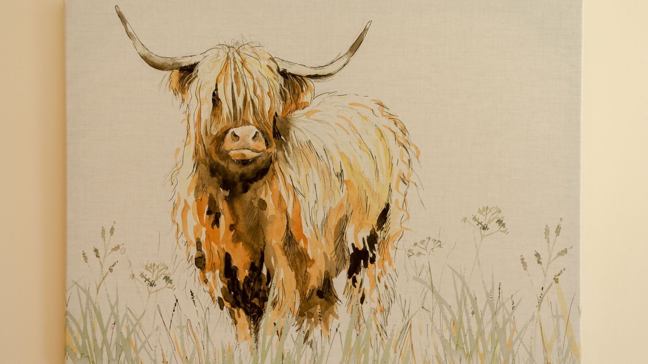 Photo of Others in Maybole