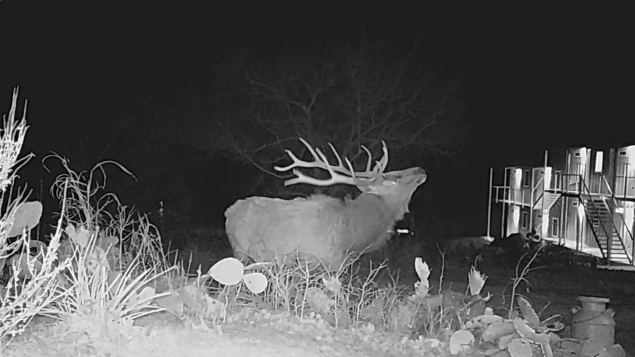 Photo of Others in Medicine Park