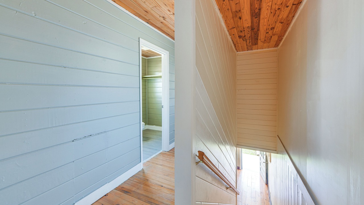 Photo of Others in Sylvester