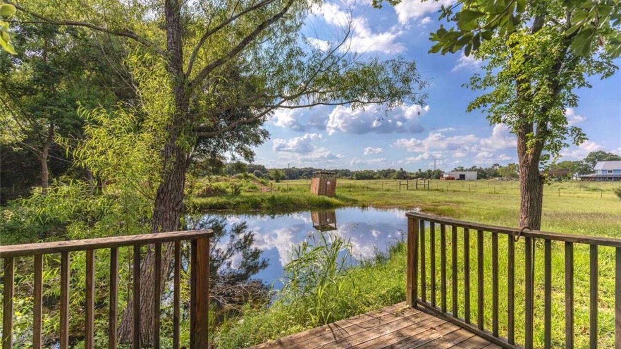 Photo of Outdoor in Bellville