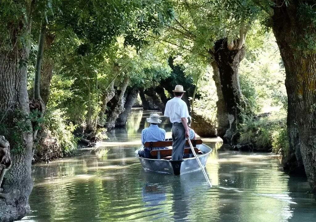 Photo of Others in La Chataigneraie