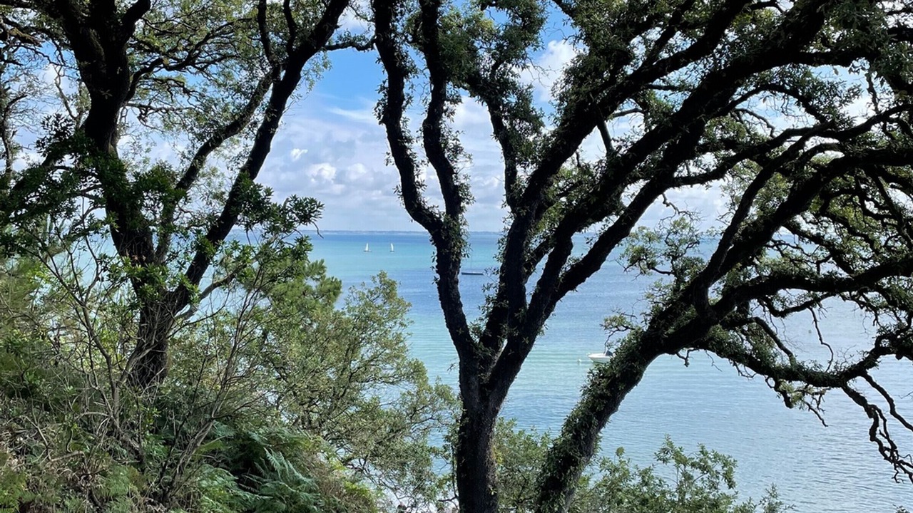 Photo of Others in Noirmoutier-en-l'Ile