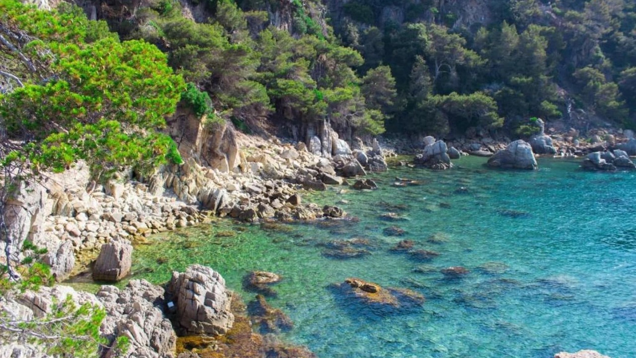 Photo of Others in Lloret Blau