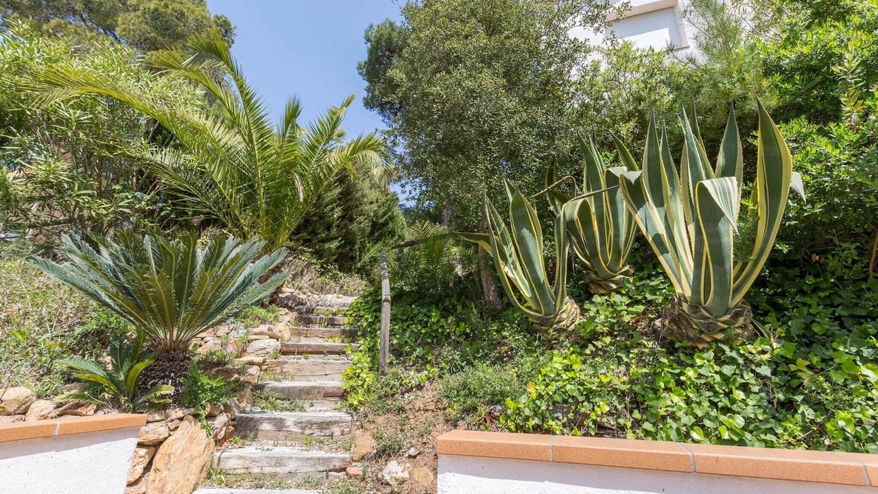Photo of Outdoor in Tamariu