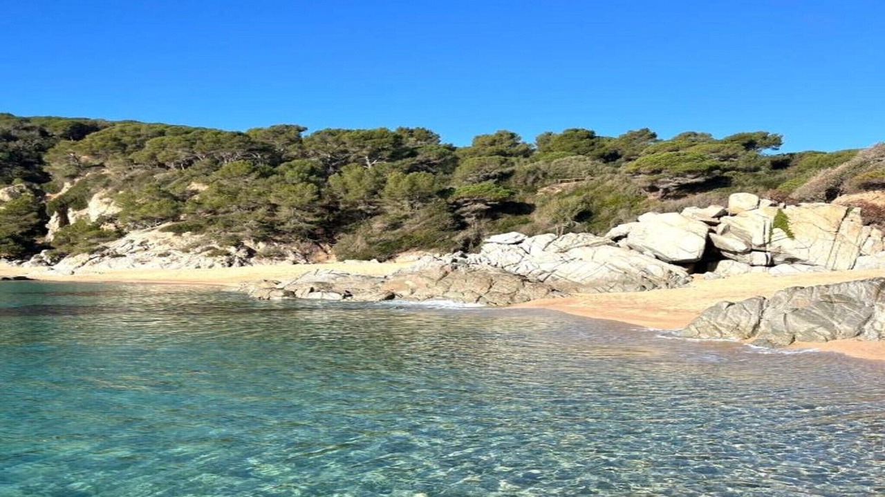 Photo of Others in Lloret de Mar