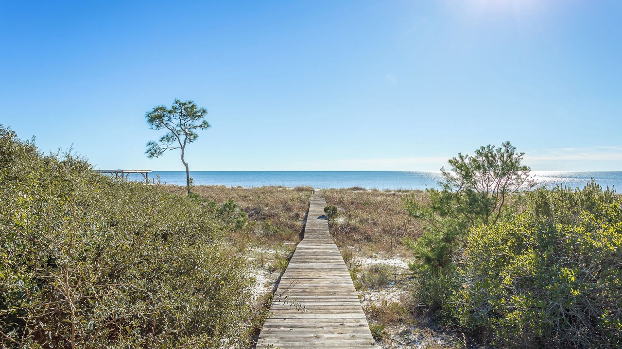Photo of Others in Alligator Point