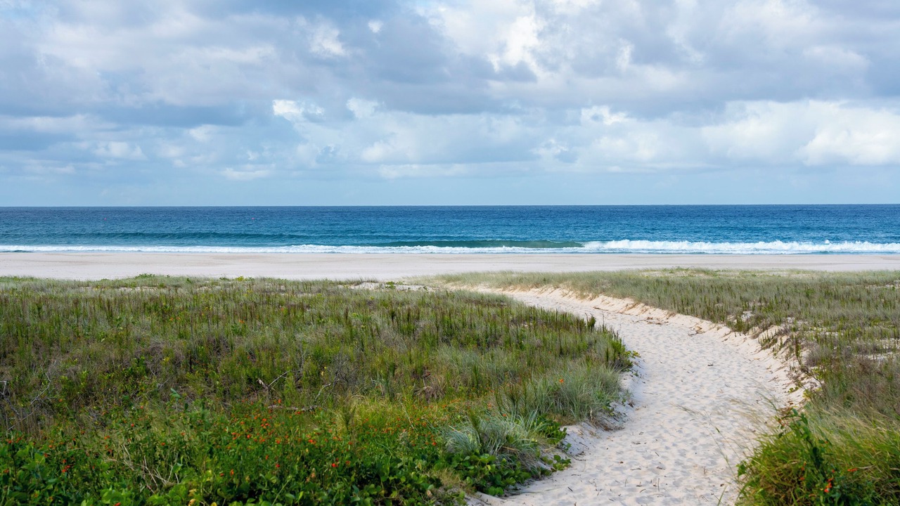 Photo of Others in Bilinga