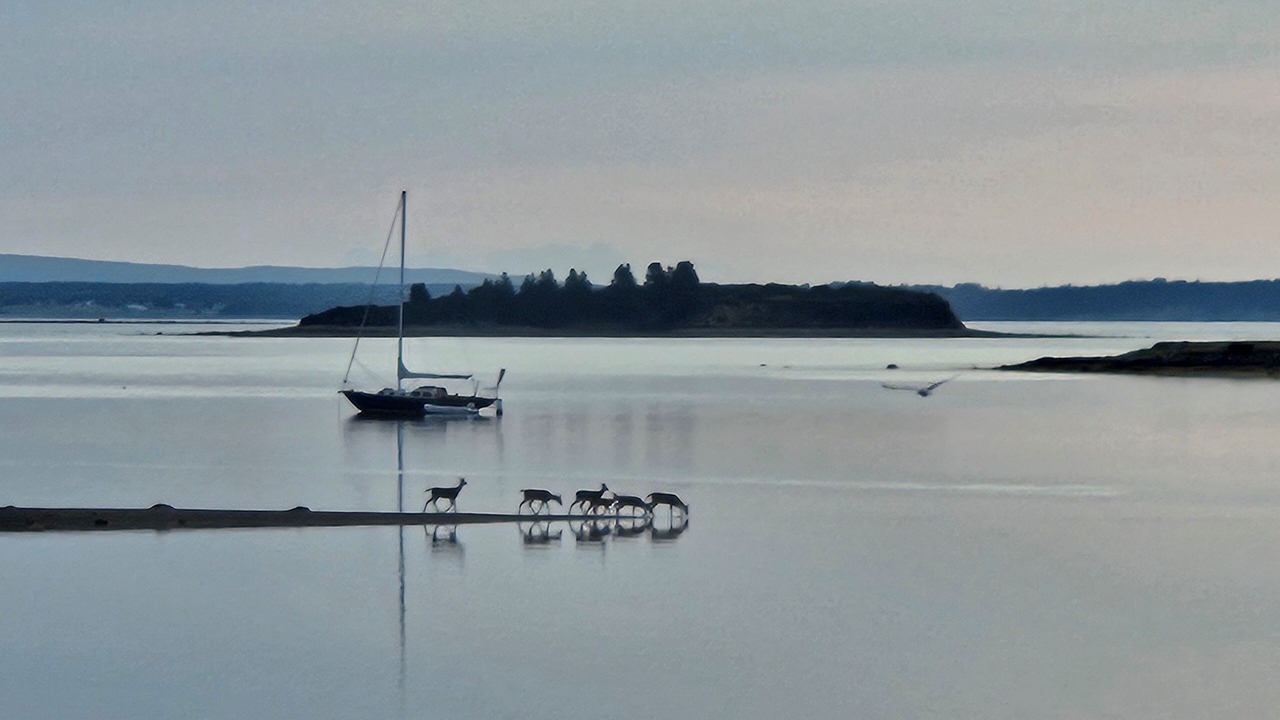 Photo of Others in Heckmans Island