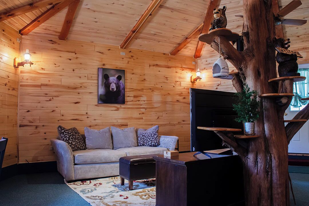 Photo of Livingroom in Cortez