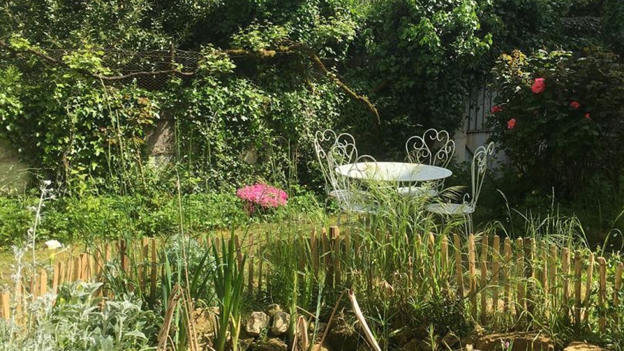 Photo of Outdoor in Candes-Saint-Martin