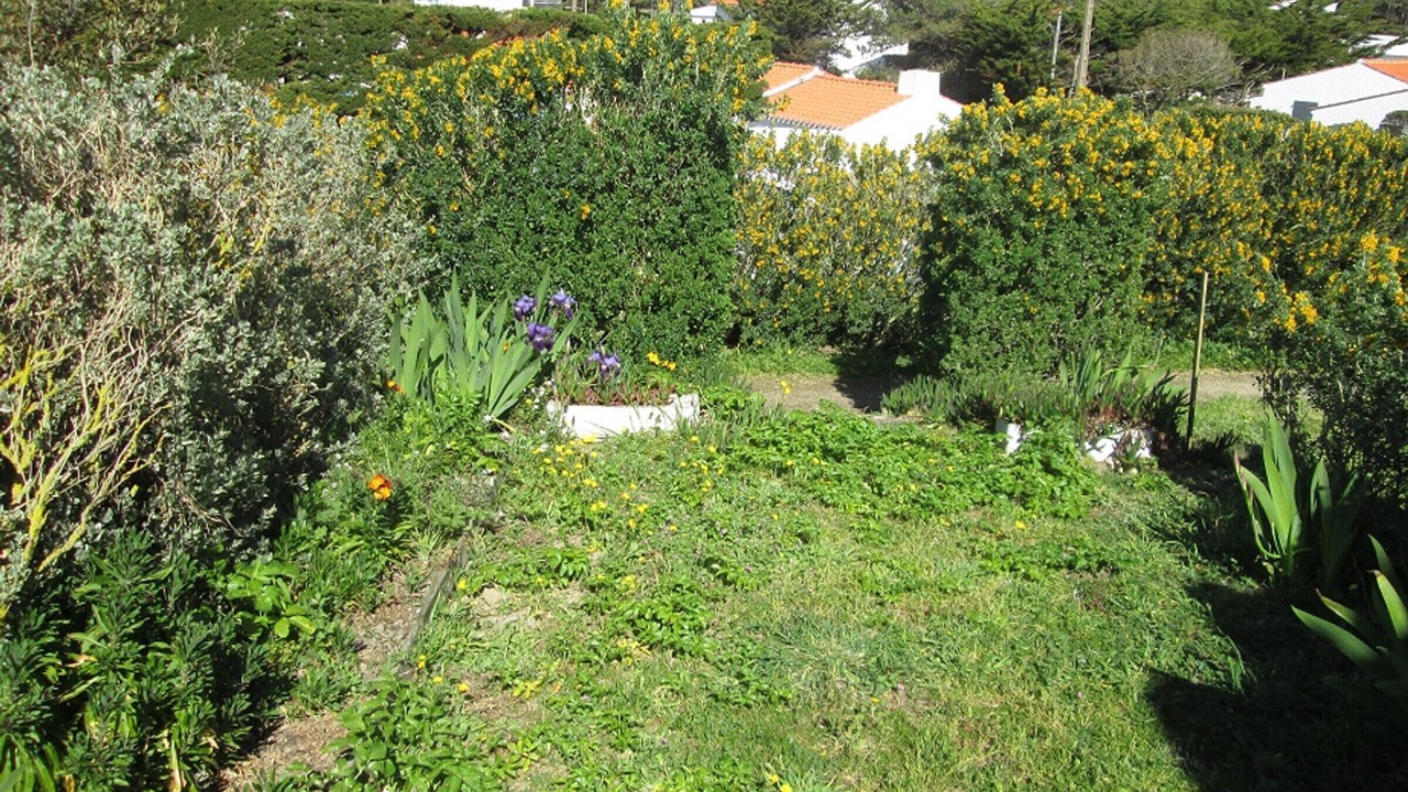 Photo of Outdoor in Barbatre