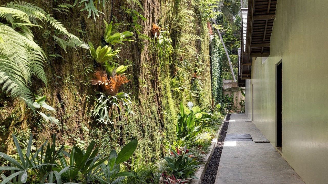 Photo of Outdoor in Mas