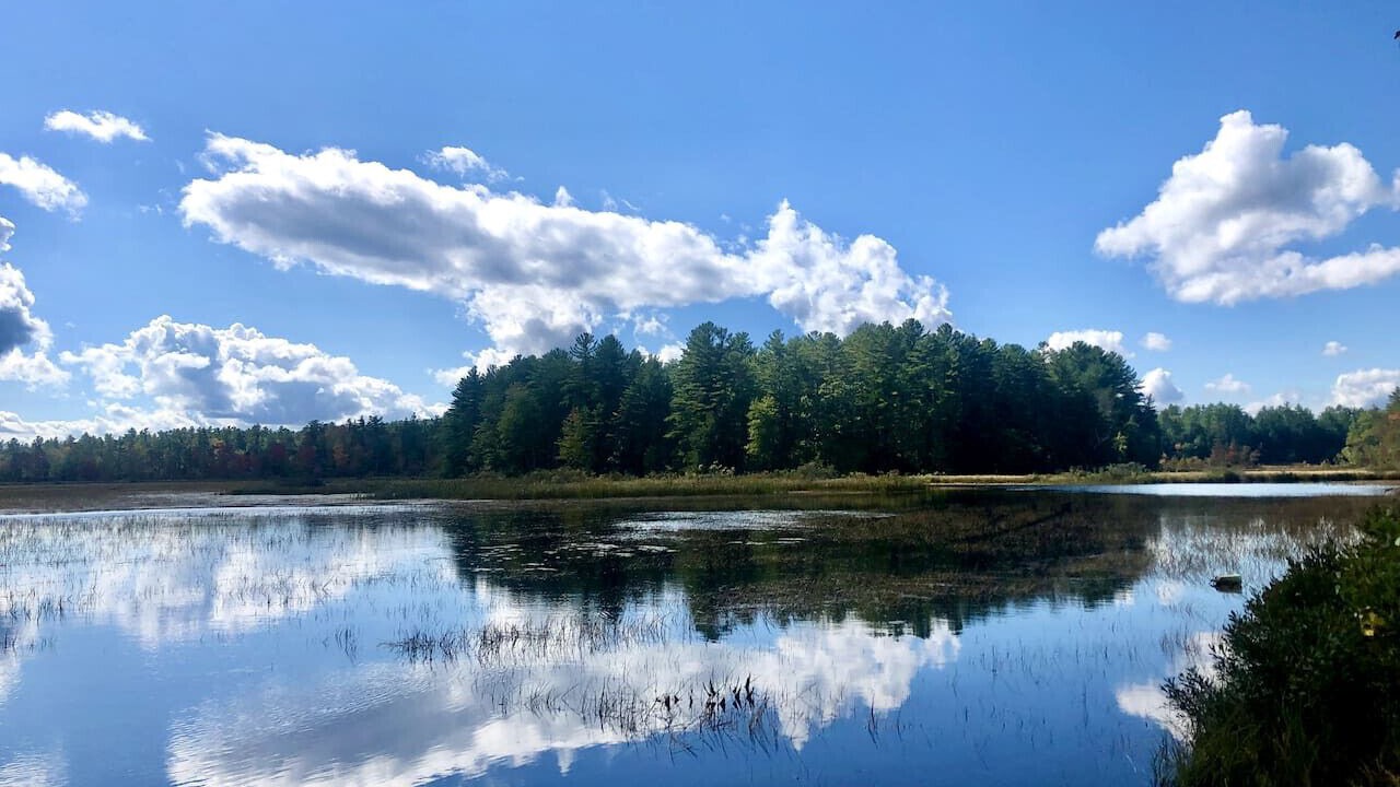 Photo of Others in Union