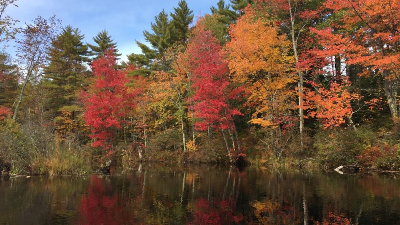 Photo of Others in Union