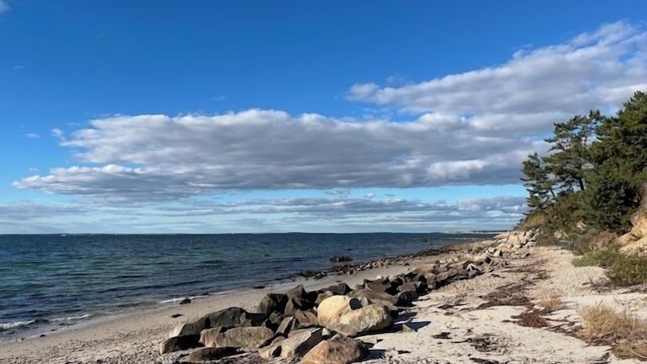 Photo of Others in Falmouth