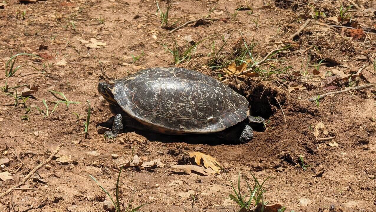 Photo of Others in Cleveland