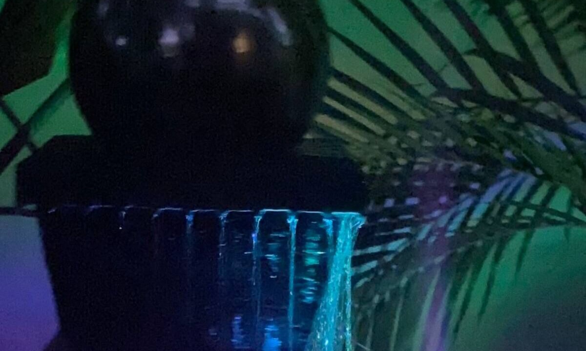 Photo of Others in Budgewoi