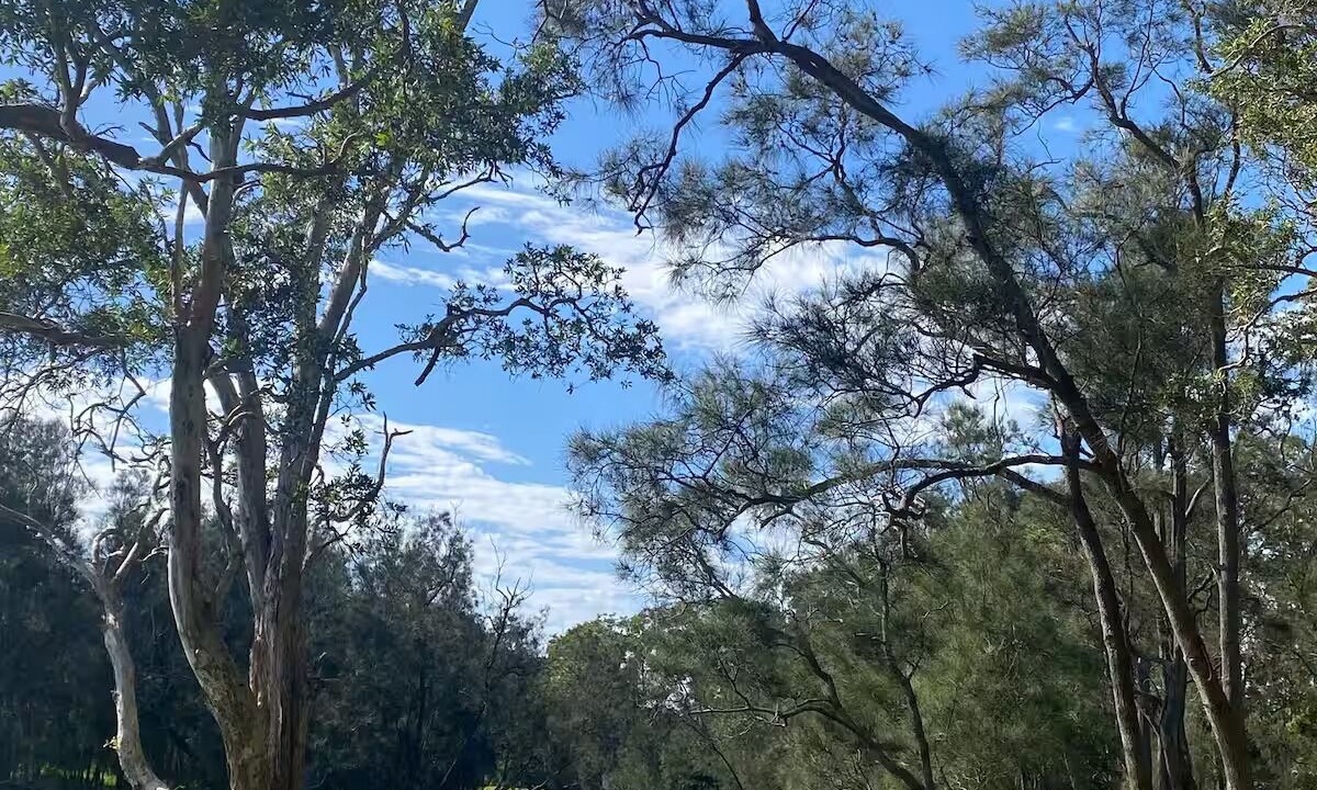 Photo of Others in Budgewoi