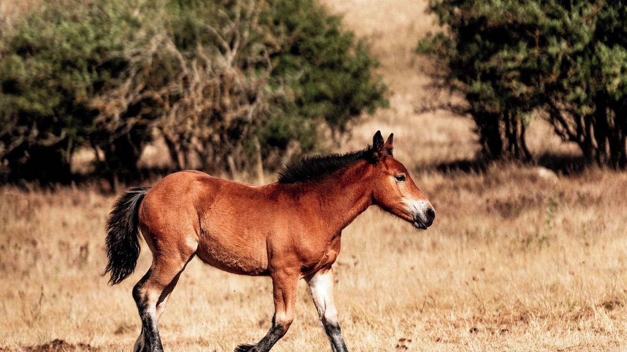 Photo of Others in Valle de Arana