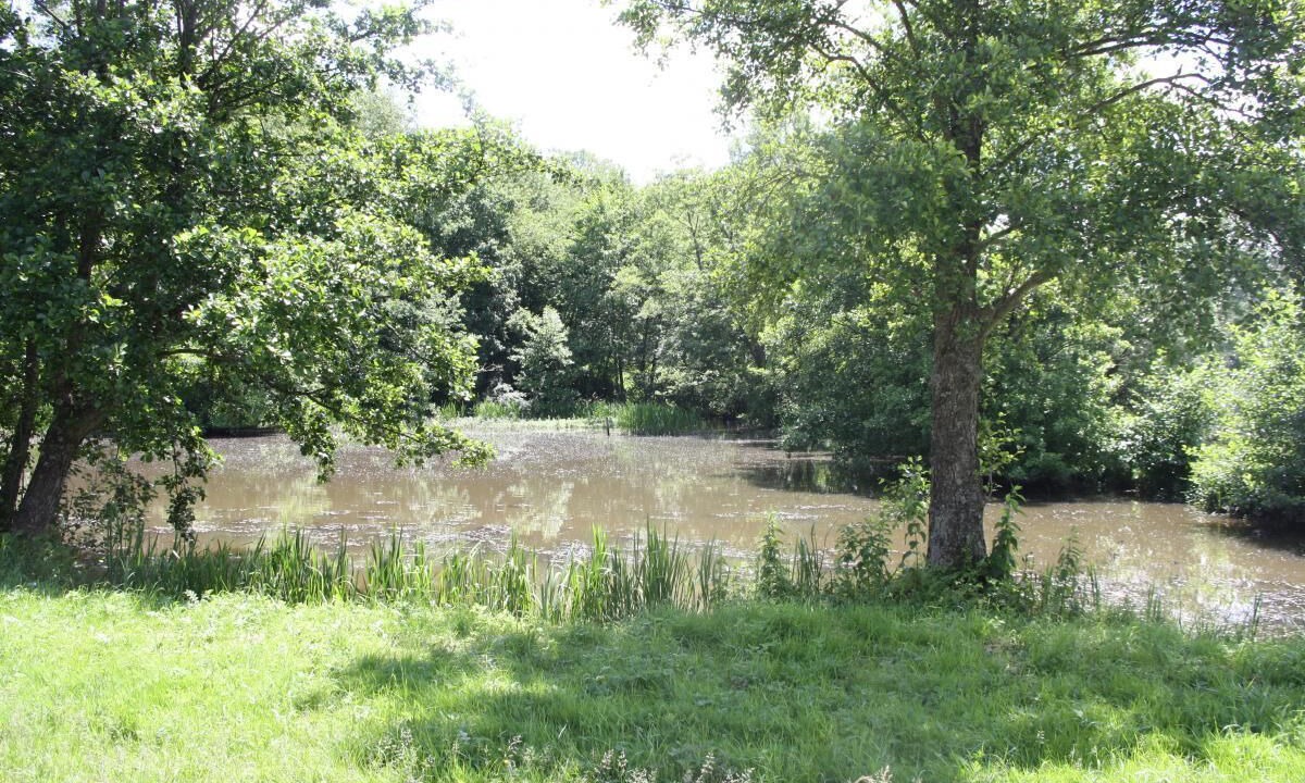 Photo of Others in Montcoy