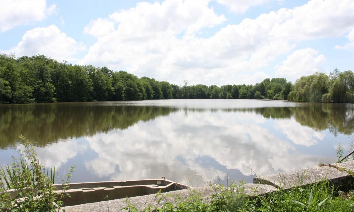 Photo of Others in Montcoy