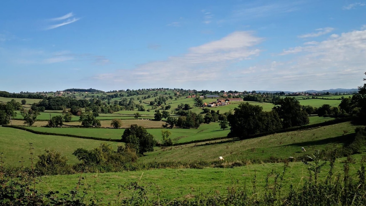 Photo of Others in Vauban